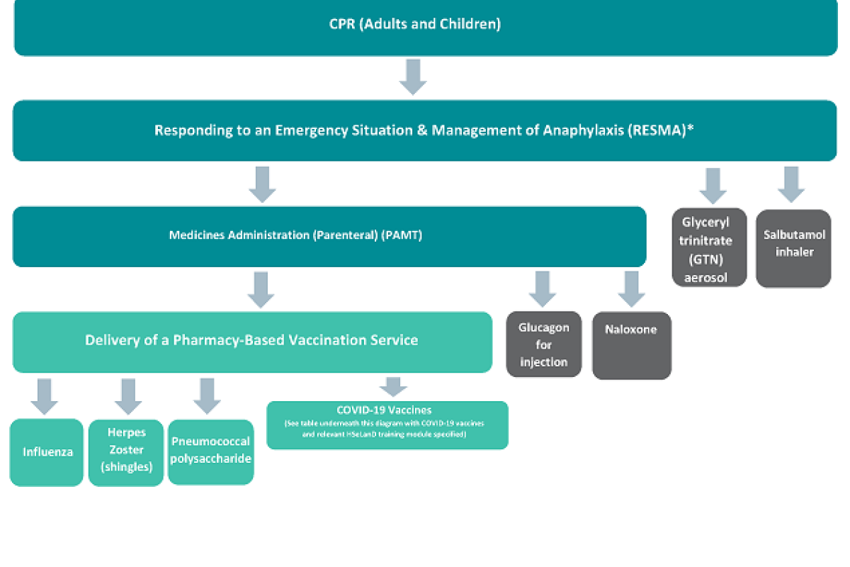 Flow diagram illustrating the process steps for Vaccinations and Emergency Medicines